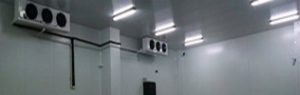 fabricantes insumos helado artesanal, emulsionantes aditivos helados, fabricas envases telgopor para heladerias en argentina